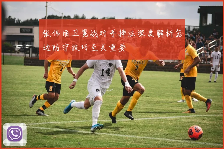 张伟丽卫冕战对手摔法深度解析笼边防守技巧至关重要