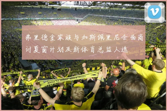 弗里德金家族与加斯佩里尼会面商讨夏窗计划及新体育总监人选
